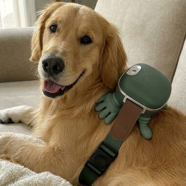 Relaxed golden retriever resting on the sofa with the massager on its back